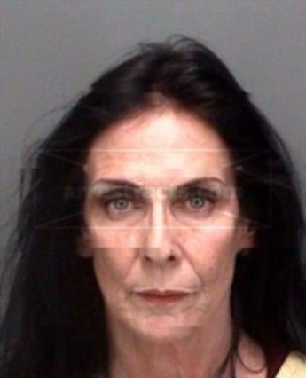 Denise Michelle Mullineaux
