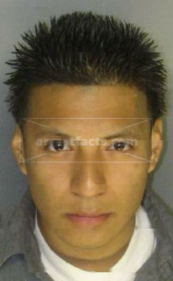 Thomas Flores