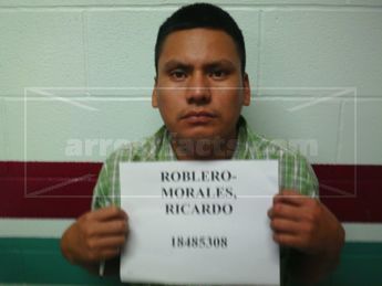 Ricardo Roblero-Morales