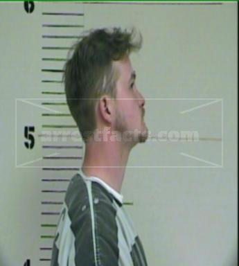 Brett Michael Anderson