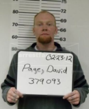 David Lee Page