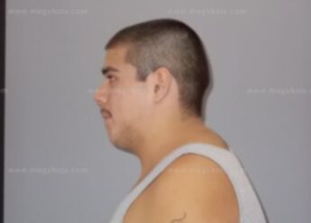 Alex M Pociopa