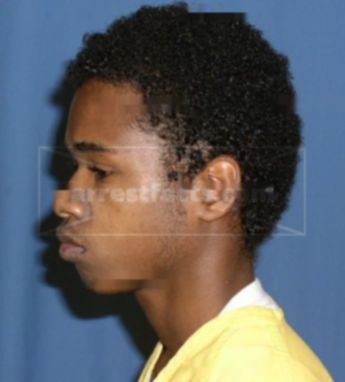 Nicholas J Williams