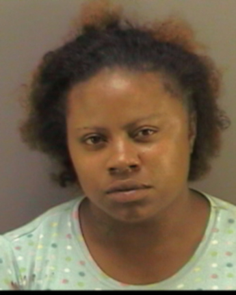 Shellie Diann Stark