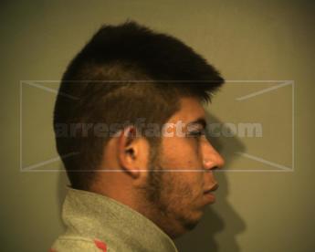 Ricardo Flores Ramirez