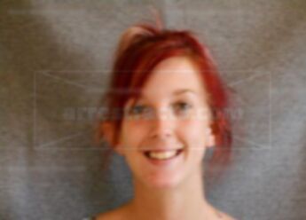 Holly D Cook
