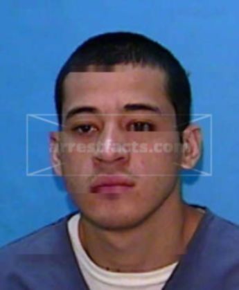 Luis S Morales
