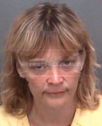 Cynthia Ann Barrett