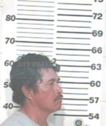Enrique Ibarra