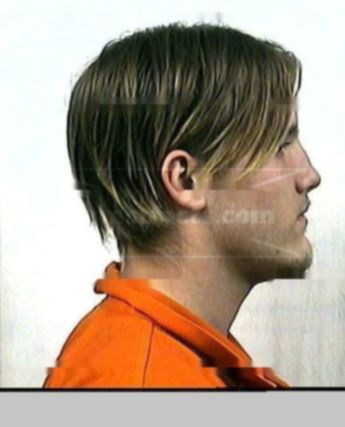 David W Westerlund