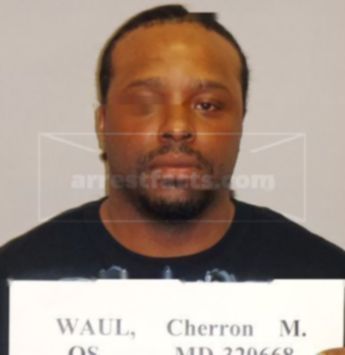 Cherron M Waul