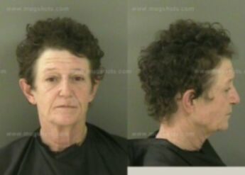 Angela Shirley Holewinski