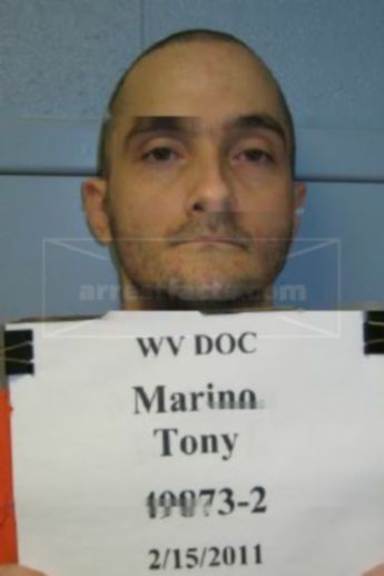 Tony N Marino Iii