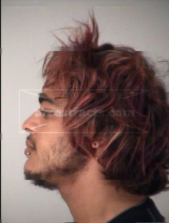 Brandon Michael Grays
