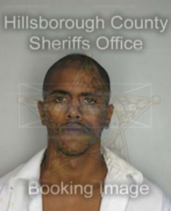 Darrin Wells