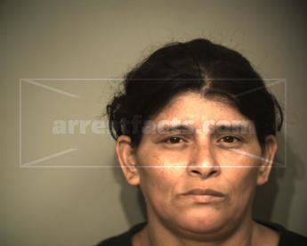 Veronica Cabrera Flores