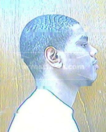 Darius E Mays