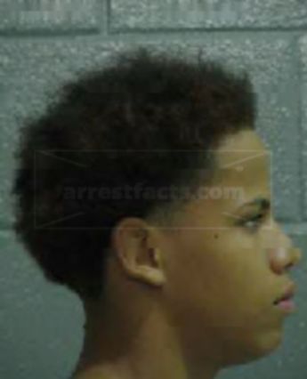 Larry Lenard Ousley