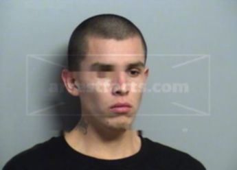 Travis Lee Mccombs