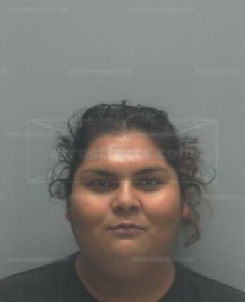 Diana Laura Rios Ramirez