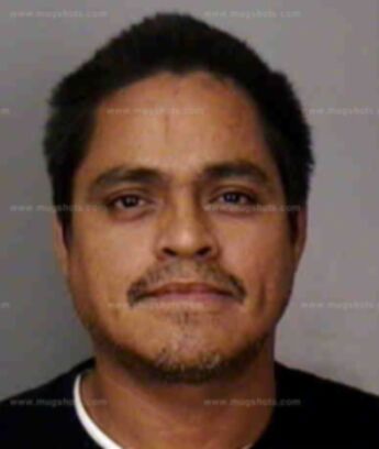 Guadalupe Moreno Jr.