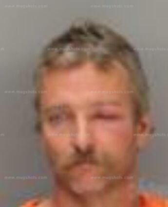 Endicott Mark Talbert