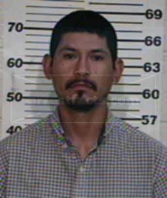 Julio Cesar San Miguel* Medina