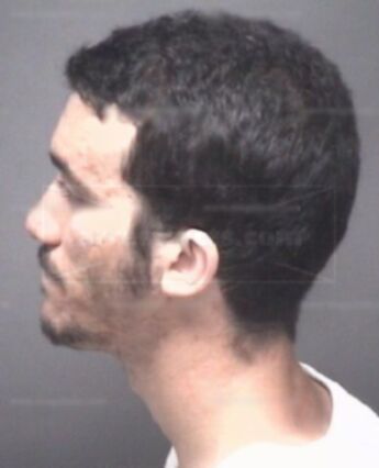 Brandon Lin Sumner