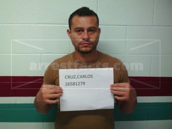 Carlos Cruz