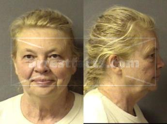 Sally Elaine Metzner