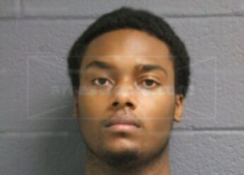 Anthony Wayne Palm