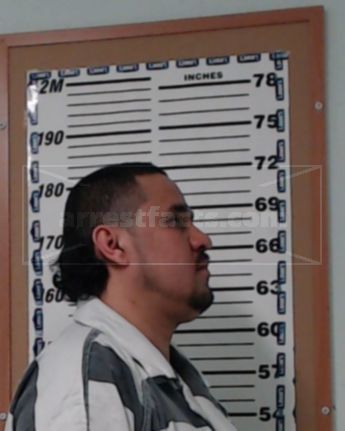 Pedro Santos-Gonzalez