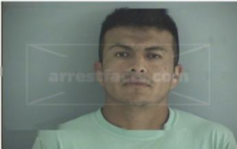 Jose Nmn Hernandez-Martinez P