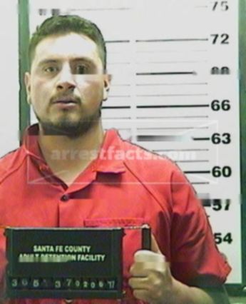Luis Zambrano-Vazquez