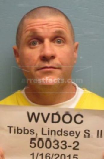 Lindsey Sherman Tibbs