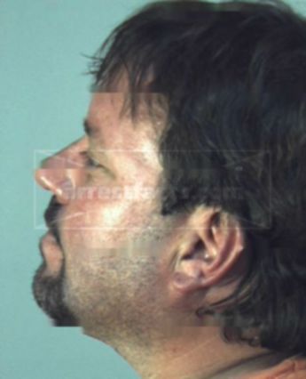 Stephen Michael Palmer