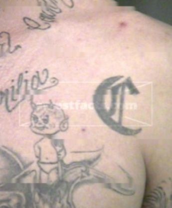 Alejandro M Cuevas
