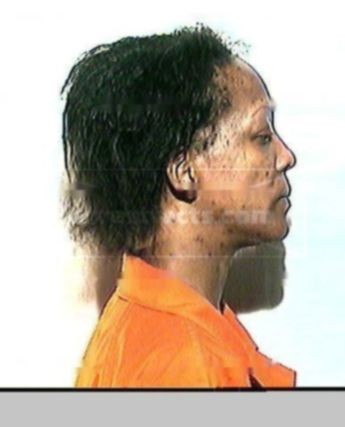 Tama G Taylor