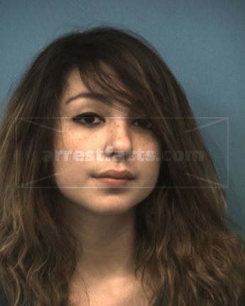 Georgina Lee Villarreal
