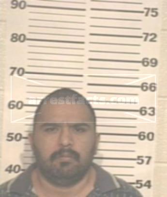 Sergio Villalobos Trejo