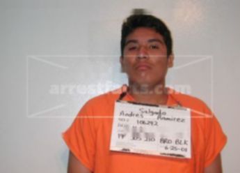 Andres Ramirez Salgado