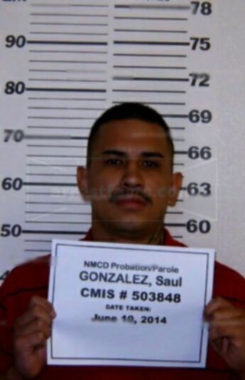 Saul Gonzalez