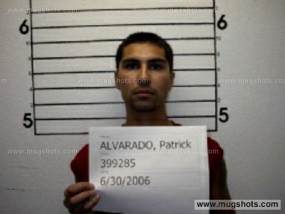 Patricio F Alvarado