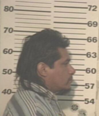 Raul Sergio Ibarra Cazares