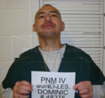 Dominic Pedro Gonzales
