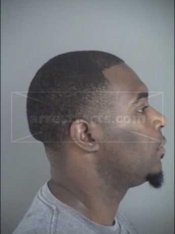 Jamie O'bryan Minter
