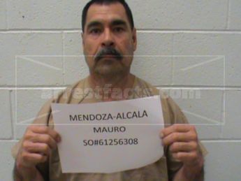 Mauro Mendoza-Alcala