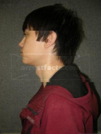 Anthony L Yang