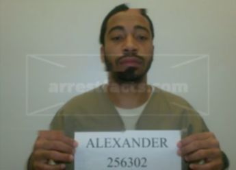 Shannon Alexander
