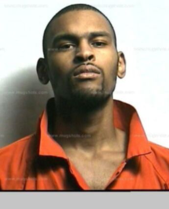 Roderick L Webster